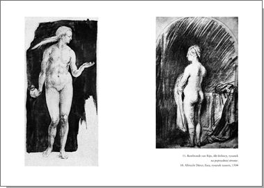 Podstawowe pojęcia historii sztuki. Problemy rozwoju stylu w sztuce nowożytnej (wydanie trzecie)
