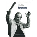 Zwierciadło Bergmana (wyd. 2)