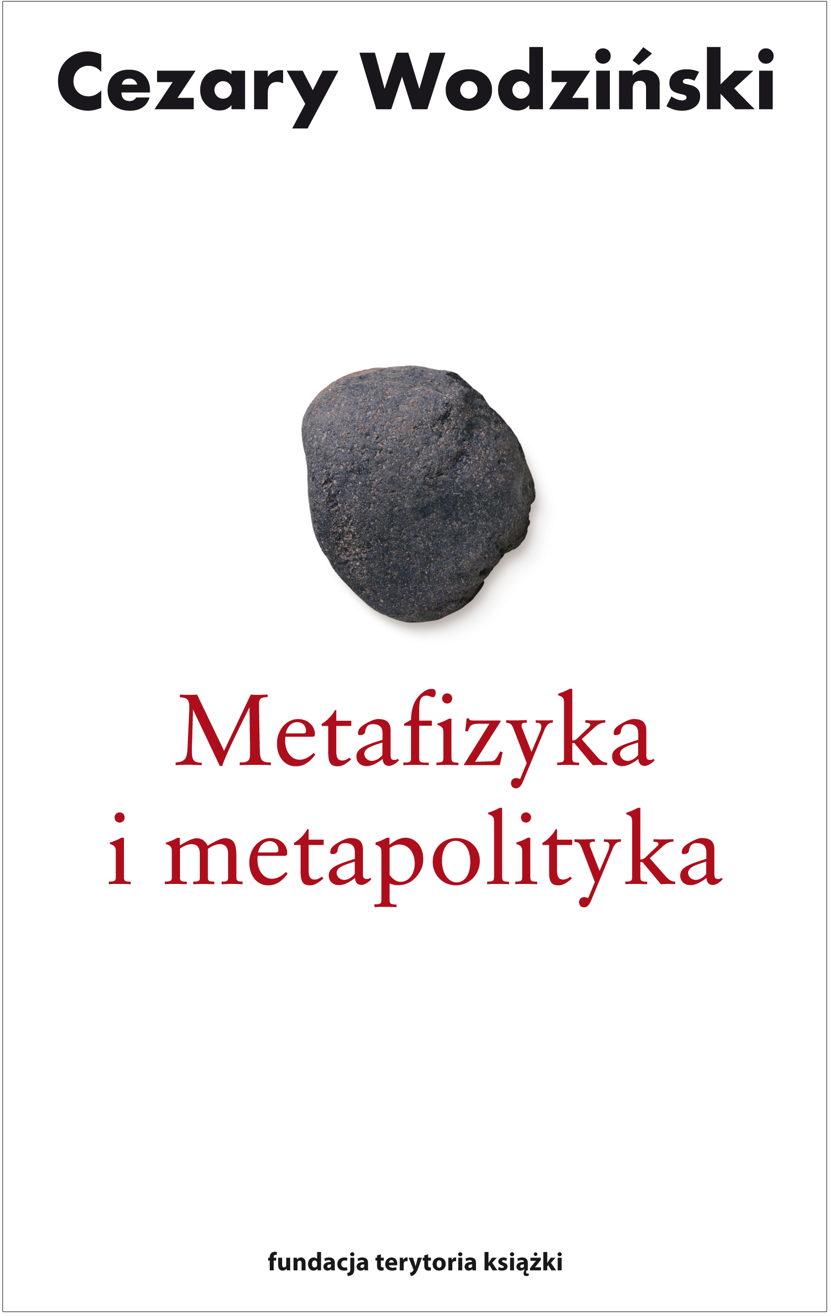 Metafizyka i metapolityka. Czarne zeszyty Heideggera